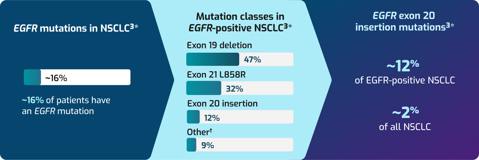 EGFR Chart